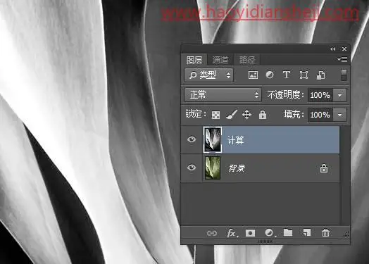 调色工具，通过PS中的计算工具给树叶调出另类的颜色_www.haoyidiansheji.com