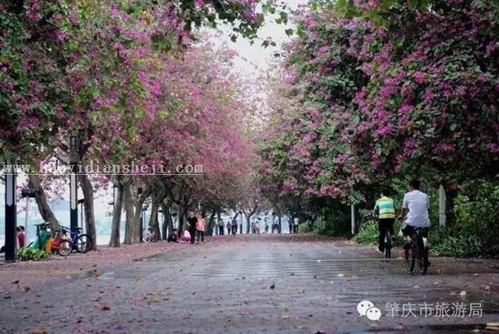 胶片色，日系胶片色摄影和后期教程_www.haoyidiansheji.com