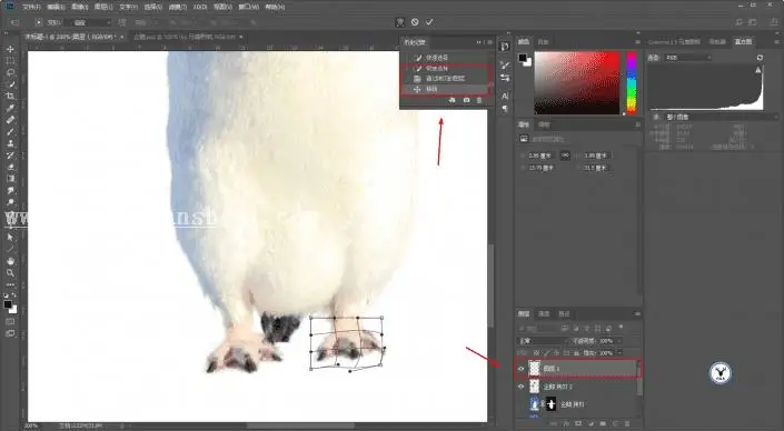 海报制作，用PS做一张镂空的动物公益海报_www.haoyidiansheji.com
