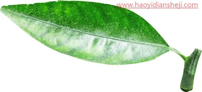 创意合成，制作一款创意橙子杯子_www.haoyidiansheji.com