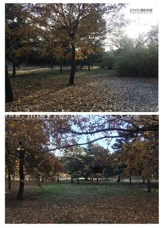 LR调色教程，通过LR调出秋日少女色调_www.haoyidiansheji.com