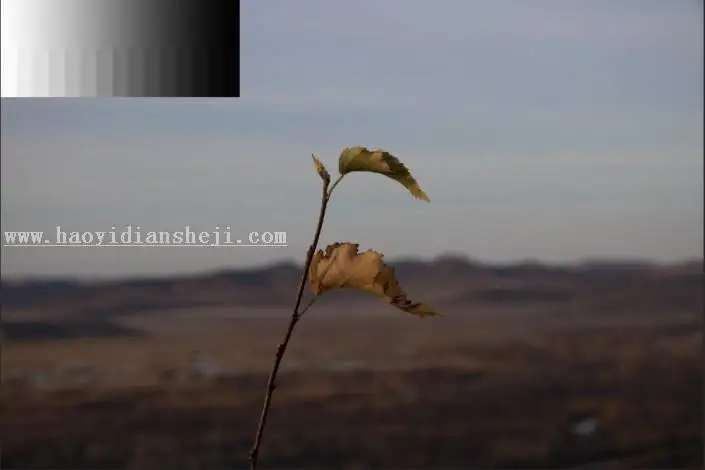 工具知识，如何利用色调分离给照片进行调色_www.haoyidiansheji.com