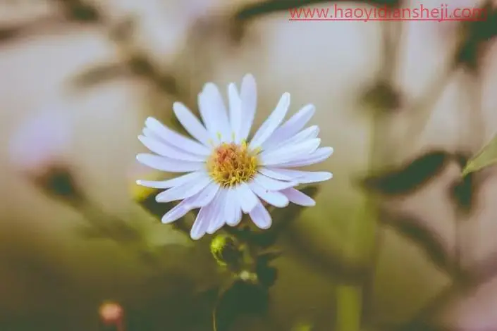 内容识别，快速使图片拉伸不变形的办法_www.haoyidiansheji.com