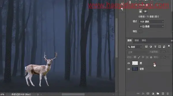 梦幻合成，制作一种林深时见鹿的意境场景_www.haoyidiansheji.com