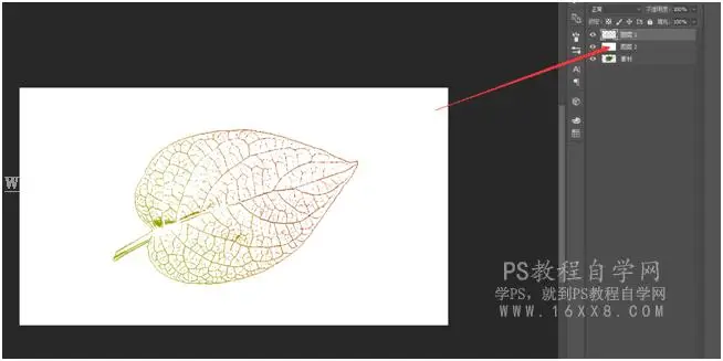 新手效果，利用树叶做出漂亮的装饰背景_www.haoyidiansheji.com