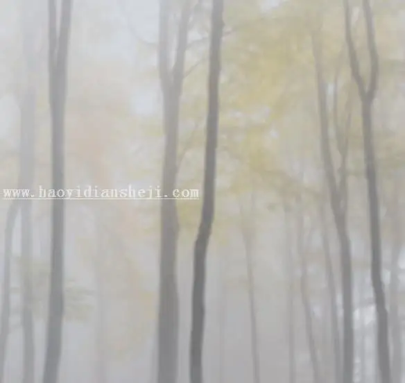 森林系，用PS给树林里拍摄的人像添加梦幻效果_www.haoyidiansheji.com