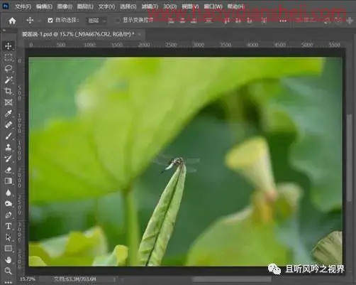 风景后期，调出清新优雅的莲蓬照片_www.haoyidiansheji.com