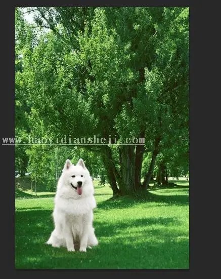 换背景，通过PS给狗狗换背景_www.haoyidiansheji.com