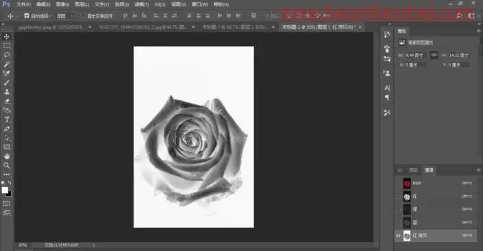 火焰效果，制作一款逼真的火焰效果玫瑰花_www.haoyidiansheji.com