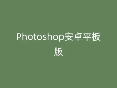 Photoshop安卓平板版